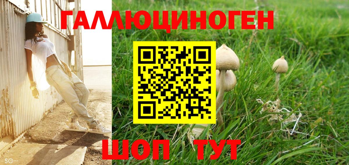 Псилоцибиновые грибы GOLDEN TEACHER  Галлюциногенные грибы Psilocybine cubensis  Вход с VPN  дарнет шоп  Юрга 